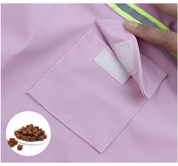 Billionaire's Swag - Dog Jacket Waterproof