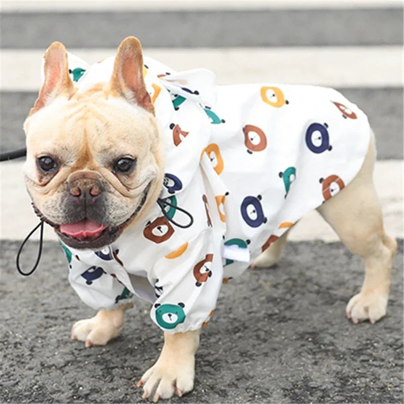 Adorable Bulldog Dog Wearing Hoodie with bear faces on a white background, showcasing comfort and cuteness.