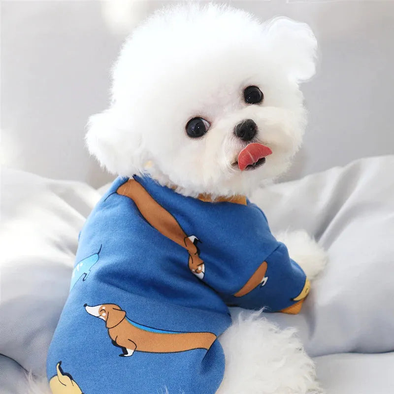 Adorable white dog wearing Cute Dog Shirts in blue with dachshund prints, showcasing a stylish and cute outfit.