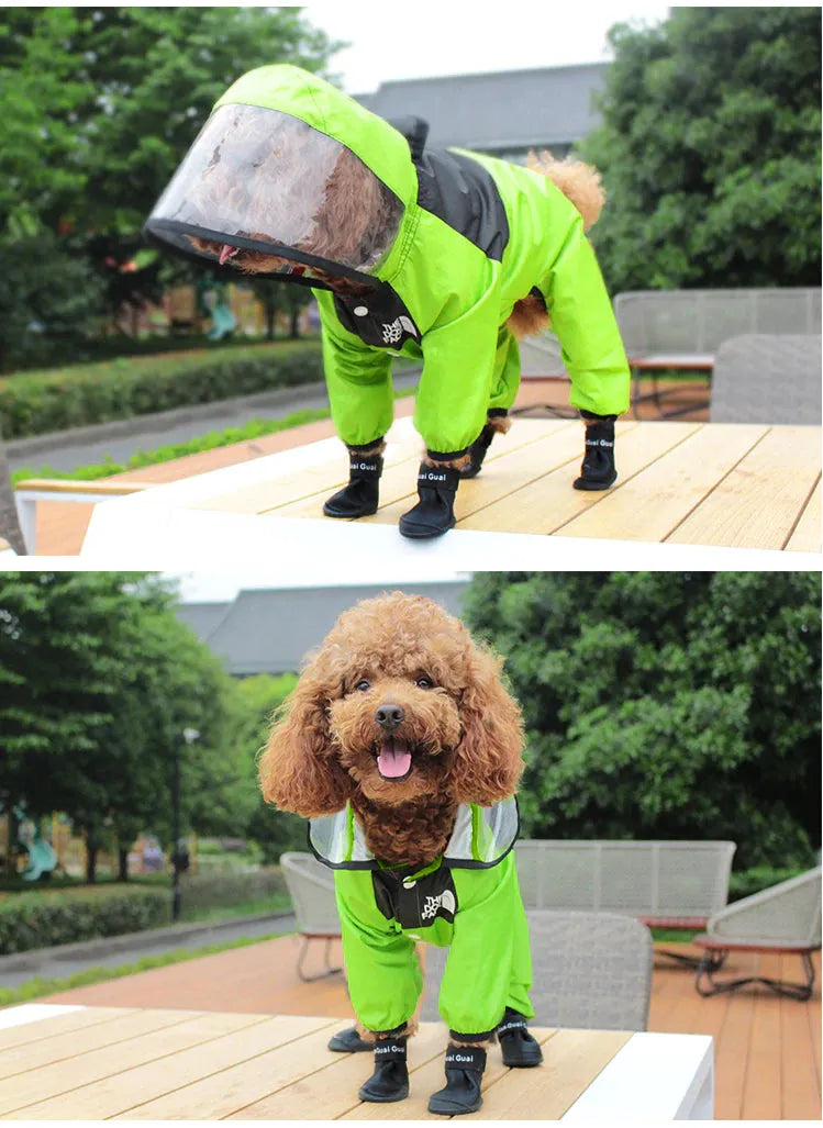 Dog Raincoat With Legs in green on a poodle, offering complete rain protection and a stylish look.