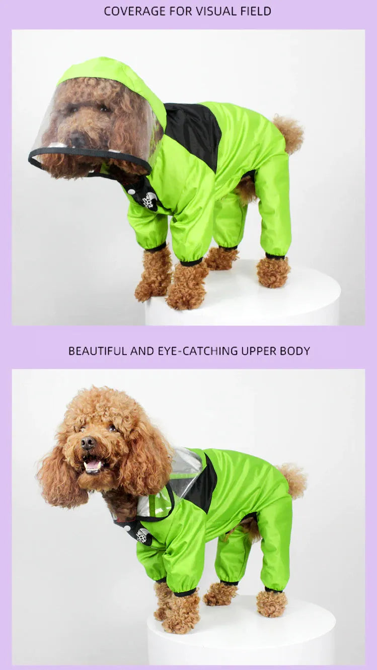 Dog Raincoat With Legs in green on a poodle, perfect for staying dry during rainy weather.