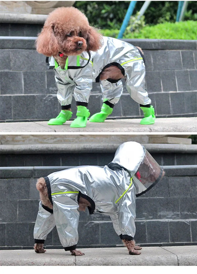 A small dog wearing a silver raincoat with legs, featuring reflective stripes and a transparent hood for full rain protection.