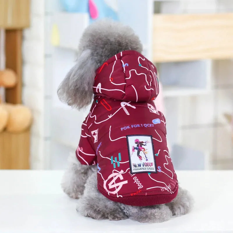 Red designer dog jacket with colorful abstract patterns and a 'New Vogue' patch, worn by a poodle.