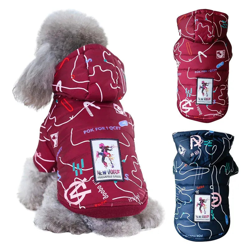 Red designer dog jacket with colorful abstract patterns and a 'New Vogue' patch, worn by a poodle sitting on a table