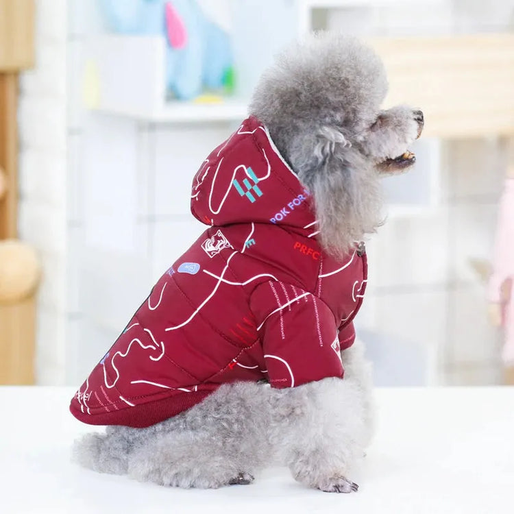 Red designer dog jacket displayed on a mannequin, showing the front view with colorful abstract patterns.