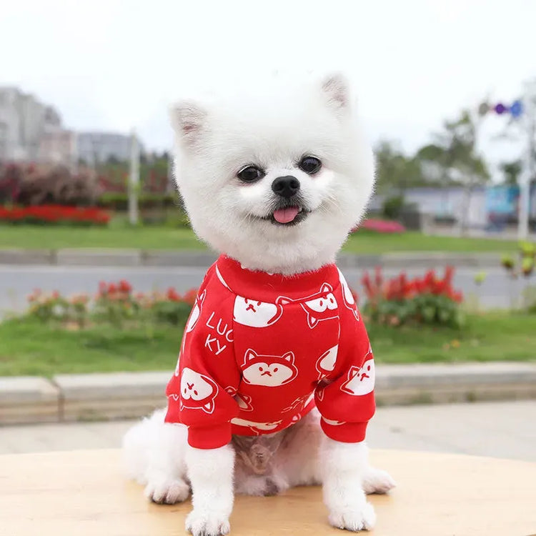 Adorable white dog wearing a Designer Dog Coat in red with cat faces, showcasing a cute and lucky design.