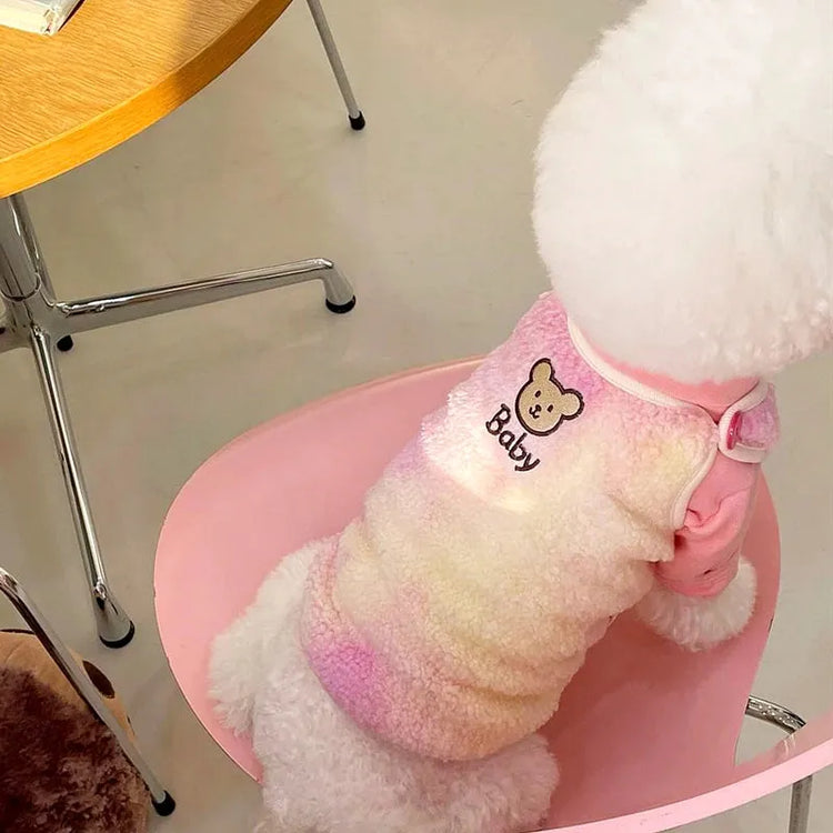 White poodle wearing a pink gradient designer dog sweater for small dogs, sitting on a pink chair.