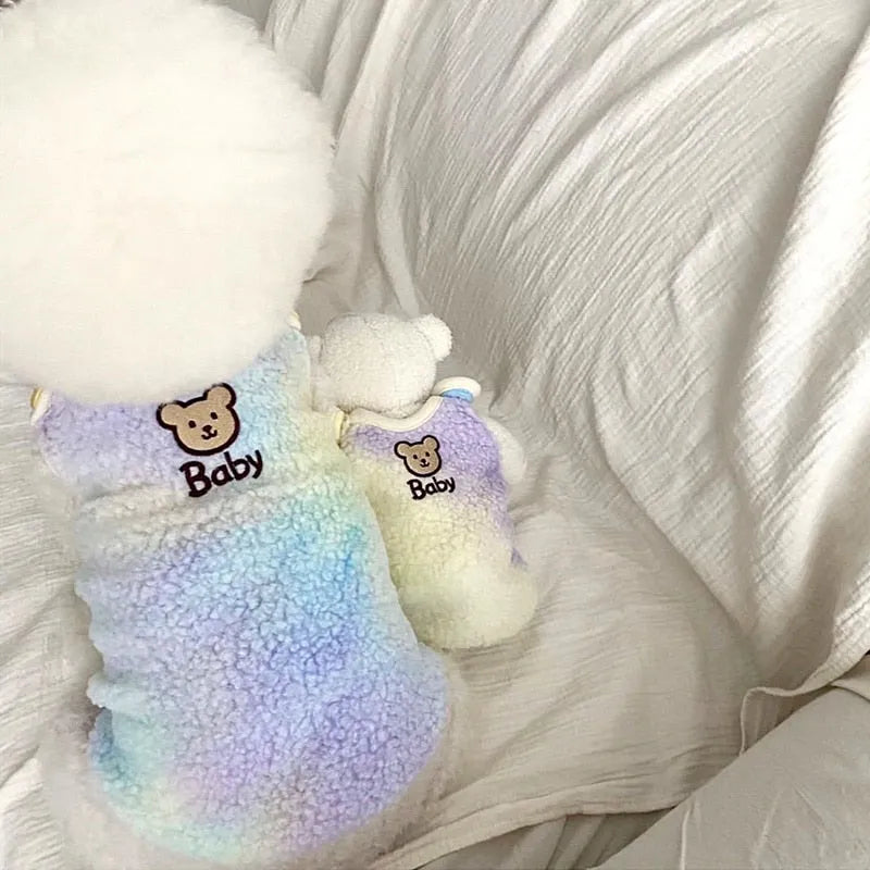 White poodle wearing a blue gradient designer dog sweater for small dogs, sitting next to a matching teddy bear.