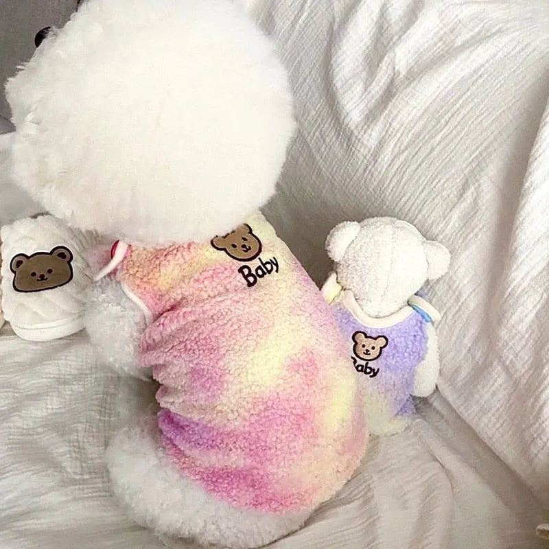 White poodle and matching teddy bear both wearing pink gradient designer dog sweaters for small dogs