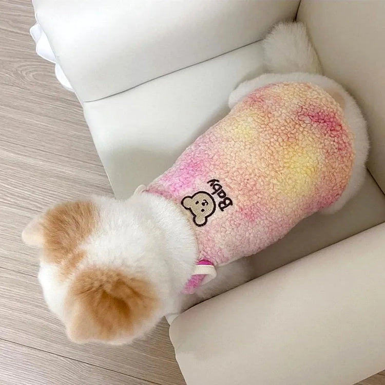 White poodle wearing a pink gradient designer dog sweater for small dogs, top view