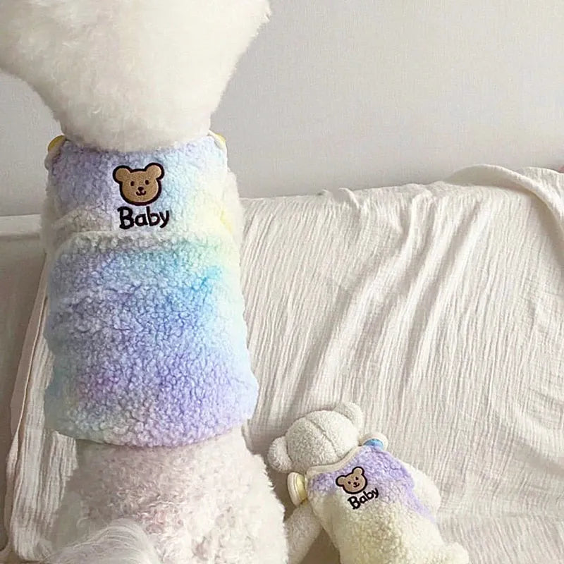 White poodle wearing a blue gradient designer dog sweater for small dogs, sitting on a white bed next to a matching teddy bear.