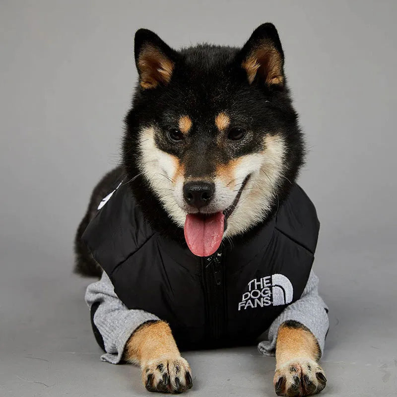 A black and tan Shiba Inu wearing a black and grey large dog coat with the logo "The Dog Fans" on the front, laying down and facing the camera.