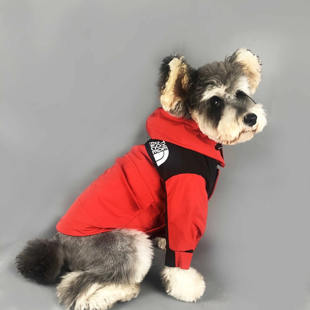 Dog posing in a red and black waterproof jacket by "The Dog Face," highlighting trendy and functional dog clothing.