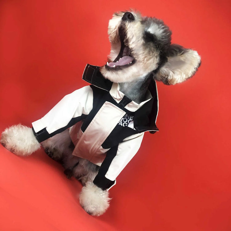 Dog wearing a black and white waterproof jacket by "The Dog Face," yawning in front of a red background, showing stylish dog apparel.