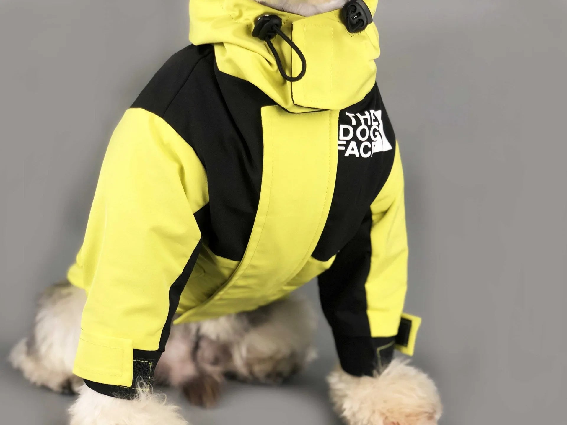 Dog wearing a yellow and black waterproof jacket by "The Dog Face," ideal for rainy weather.