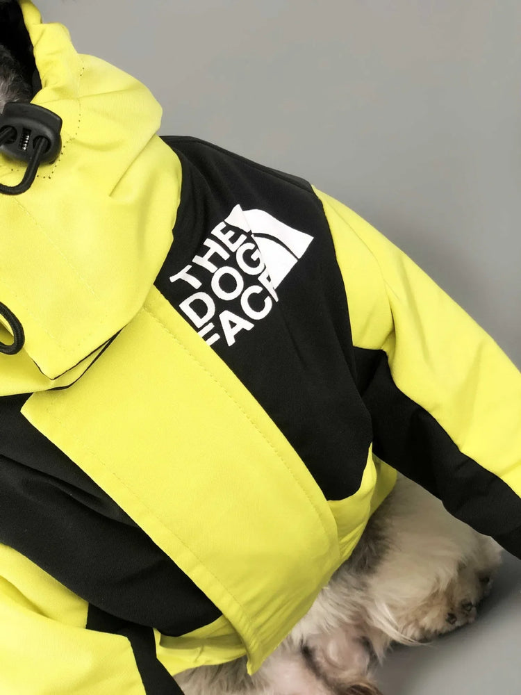 Close-up of yellow Dog Jacket Waterproof, showing logo and hood details