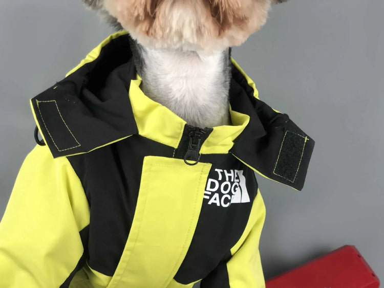 Close-up of yellow Dog Jacket Waterproof, featuring hood and front zipper