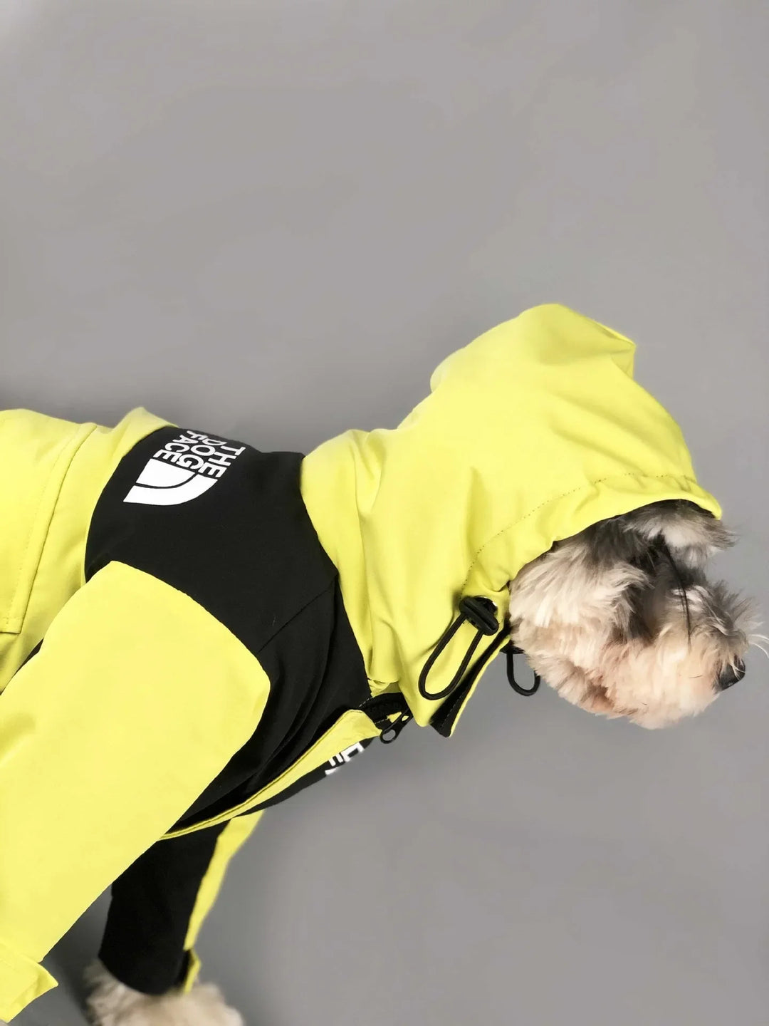 Side profile of dog in yellow Dog Jacket Waterproof, showing fit and design