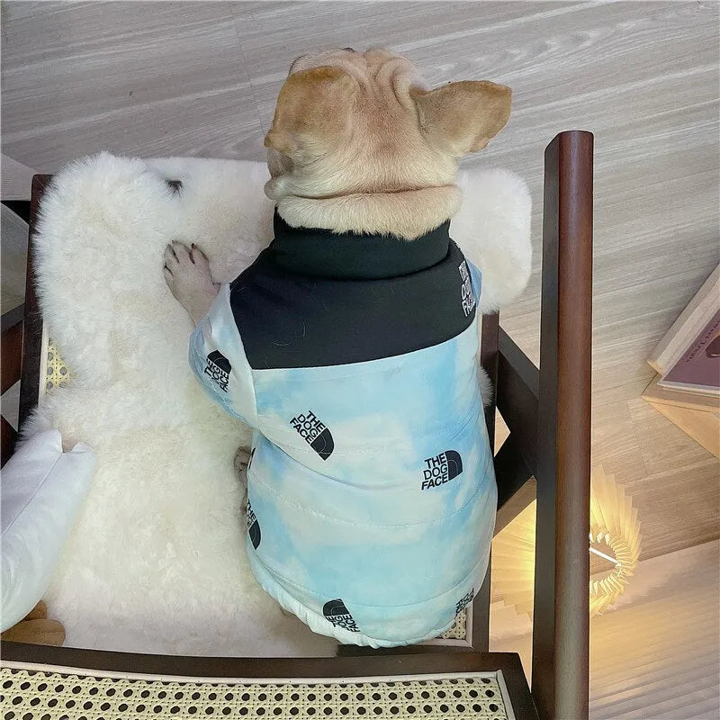 Dog sitting on a chair wearing a light blue dog puffy jacket with 'The Dog Face' logo and black collar