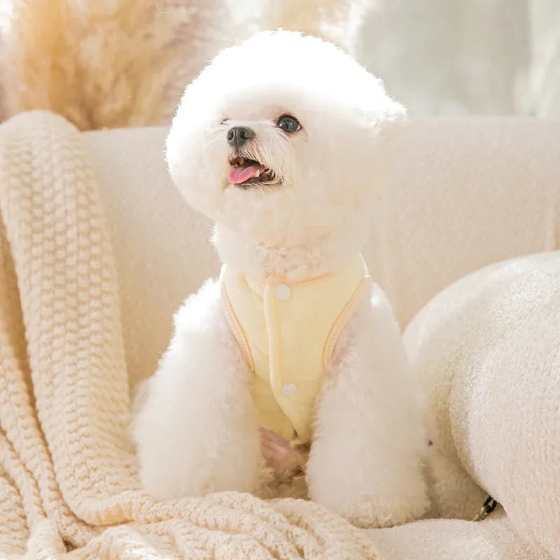 Dog wearing a cream 'Oh! Baby' quilted sweater seen from the front, ideal for a Dog Thanksgiving Sweater."