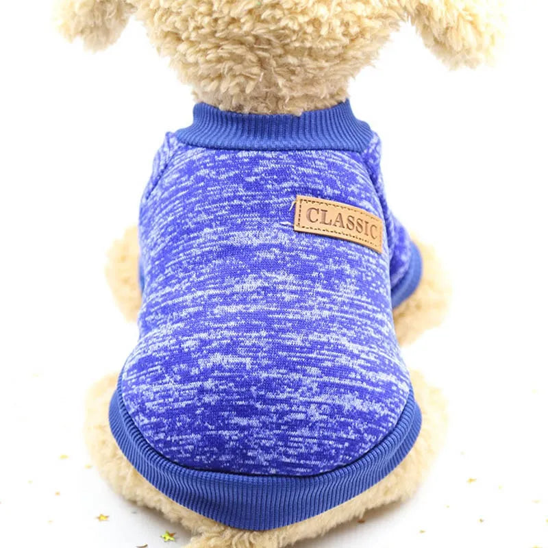 Dog wearing a blue turtleneck sweater with a classic leather patch on the back.