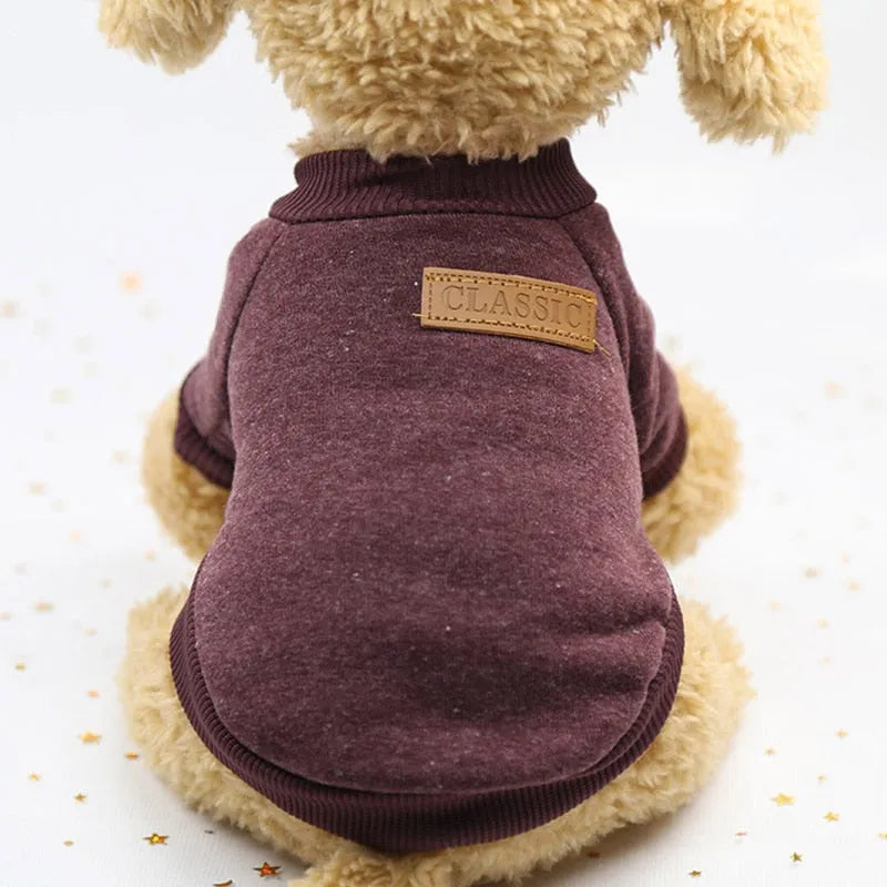 Dog wearing a brown turtleneck sweater with a classic leather patch on the back.