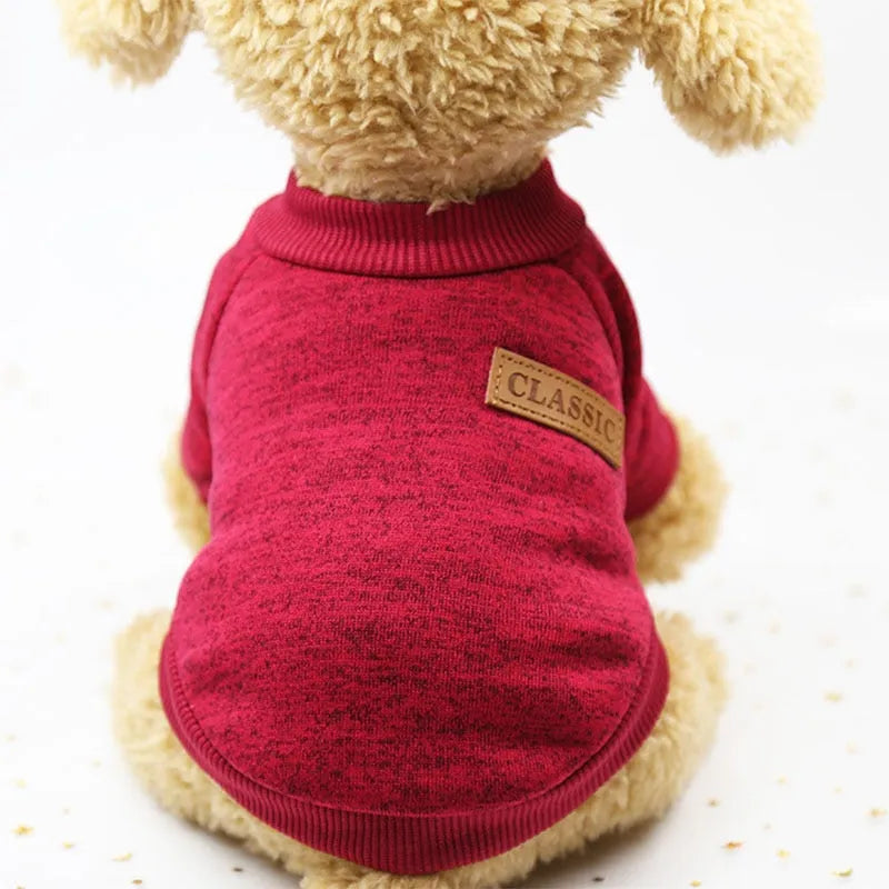 Dog wearing a red turtleneck sweater with a classic leather patch on the back.