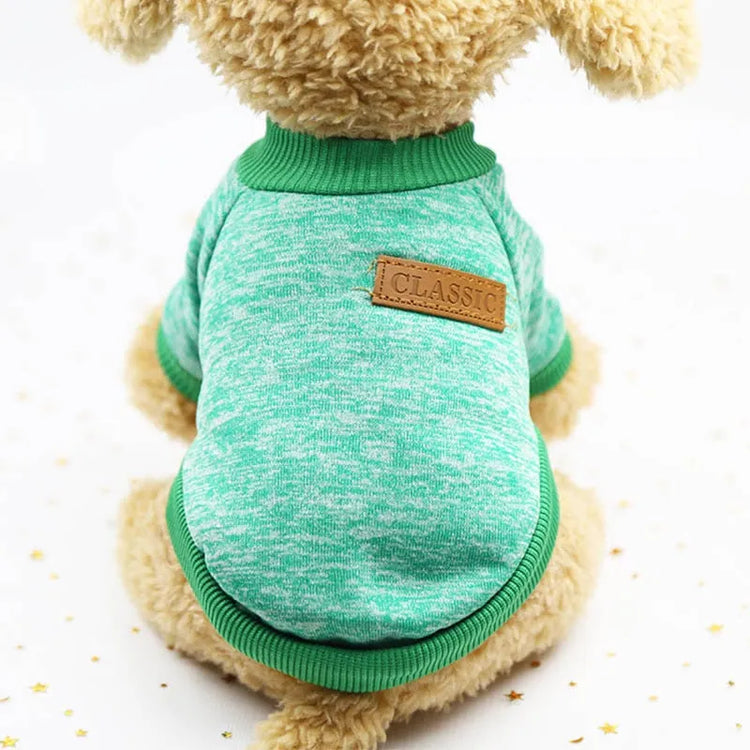 Dog wearing a green turtleneck sweater with a classic leather patch on the back.