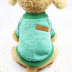 Dog wearing a green turtleneck sweater with a classic leather patch on the back.