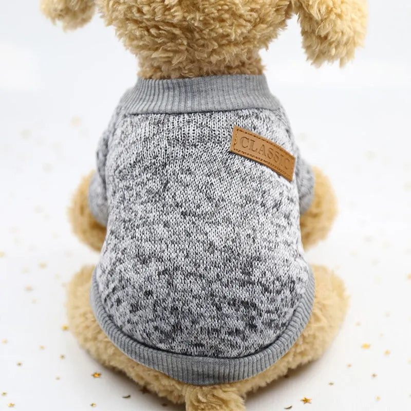 Dog wearing a grey turtleneck sweater with a classic leather patch on the back.