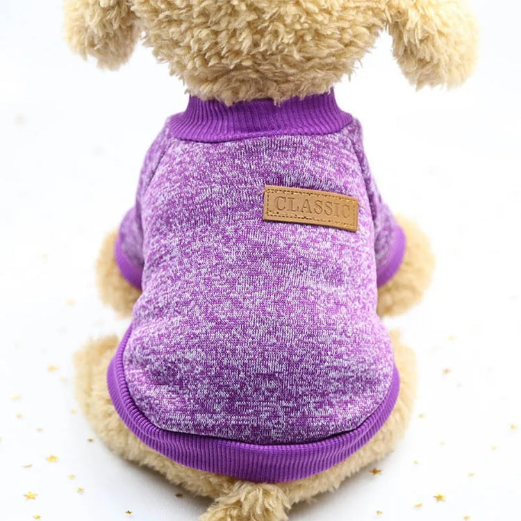 Dog wearing a purple turtleneck sweater with a classic leather patch on the back.