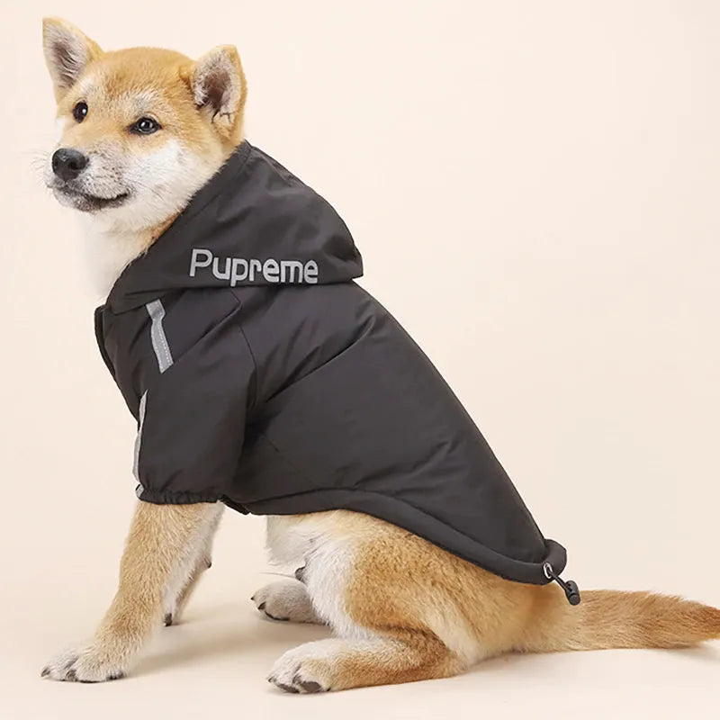 Shiba Inu sitting sideways in a black "Pupreme" raincoat with reflective details, showcasing fashionable dog rainwear.