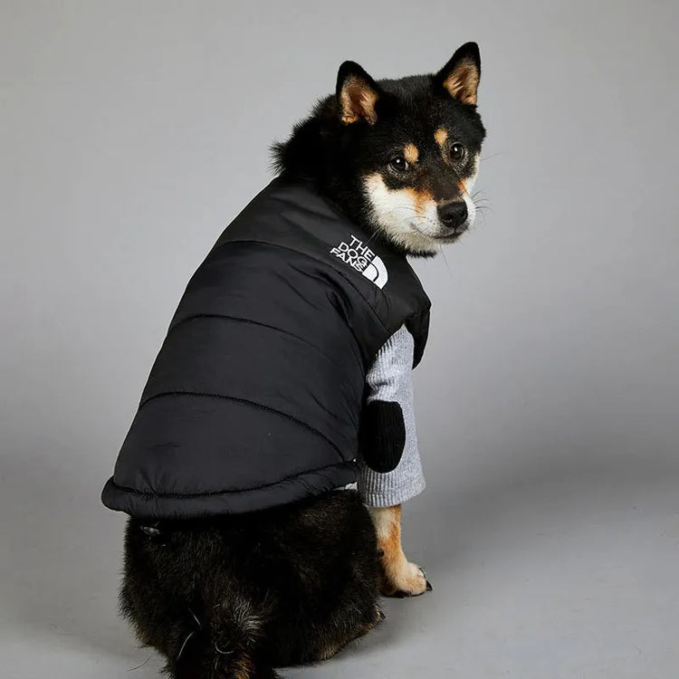 A black and tan Shiba Inu wearing a black and grey large dog coat with the logo "The Dog Fans" on the side, sitting and looking over its shoulder.