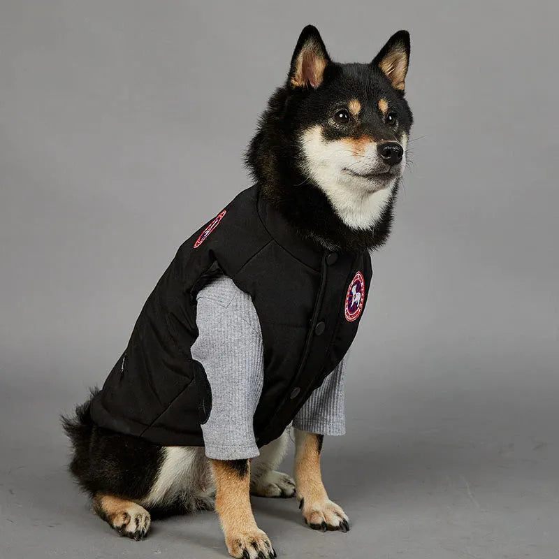 A black and tan Shiba Inu wearing a black and grey large dog coat with a circular patch, sitting and looking slightly to the side.