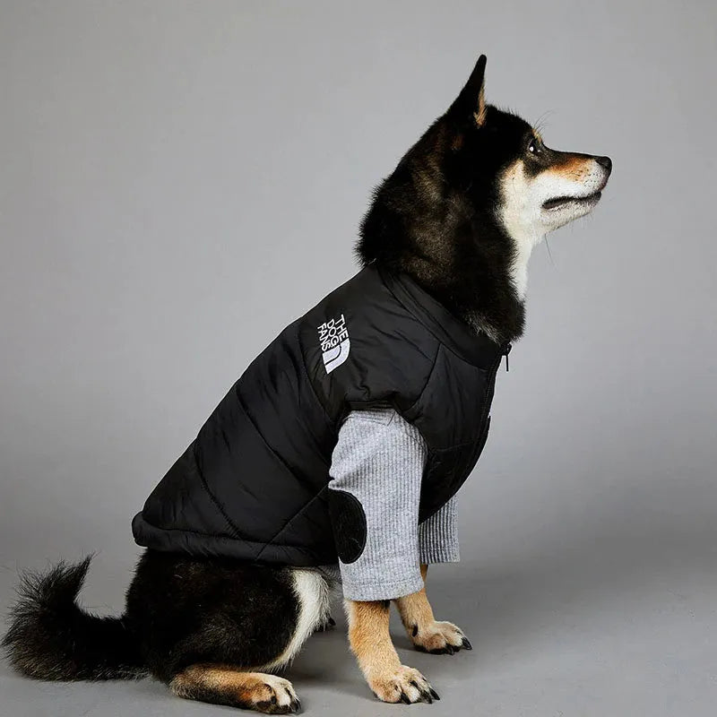 A black and tan Shiba Inu wearing a black and grey large dog coat with the logo "The Dog Fans" on the side, sitting and looking up.