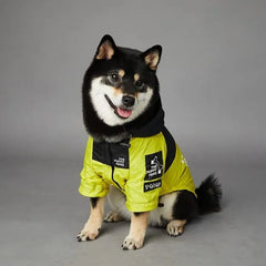 A black and tan Shiba Inu wearing a yellow and black large dog coat with the logo "The Puppy Fans" on the front, sitting and smiling.