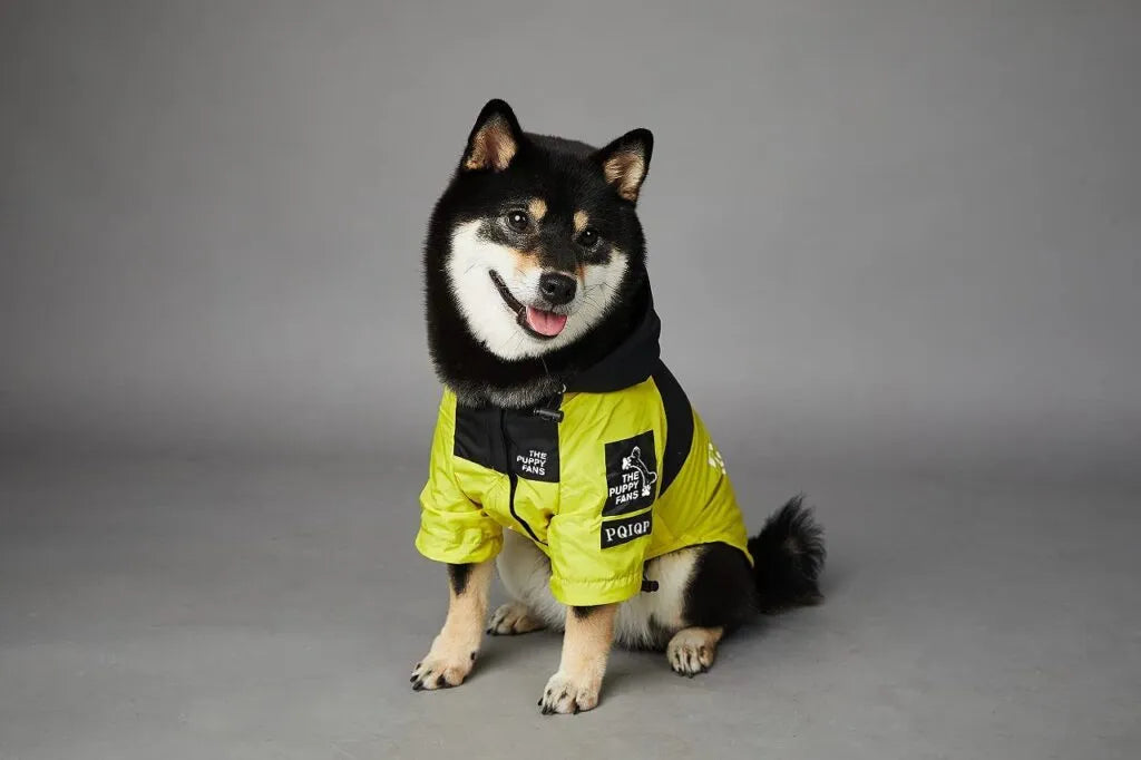 A black and tan Shiba Inu wearing a yellow and black large dog coat with the logo "The Puppy Fans" on the front, sitting and smiling.