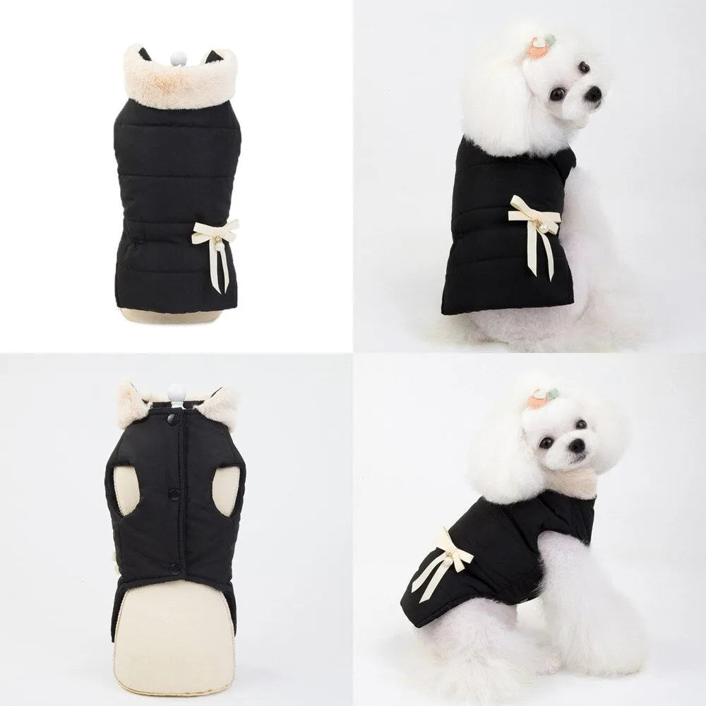 A white poodle wearing a black fleece dog jacket with a cream-colored bow on the side, posing from the side and back views.