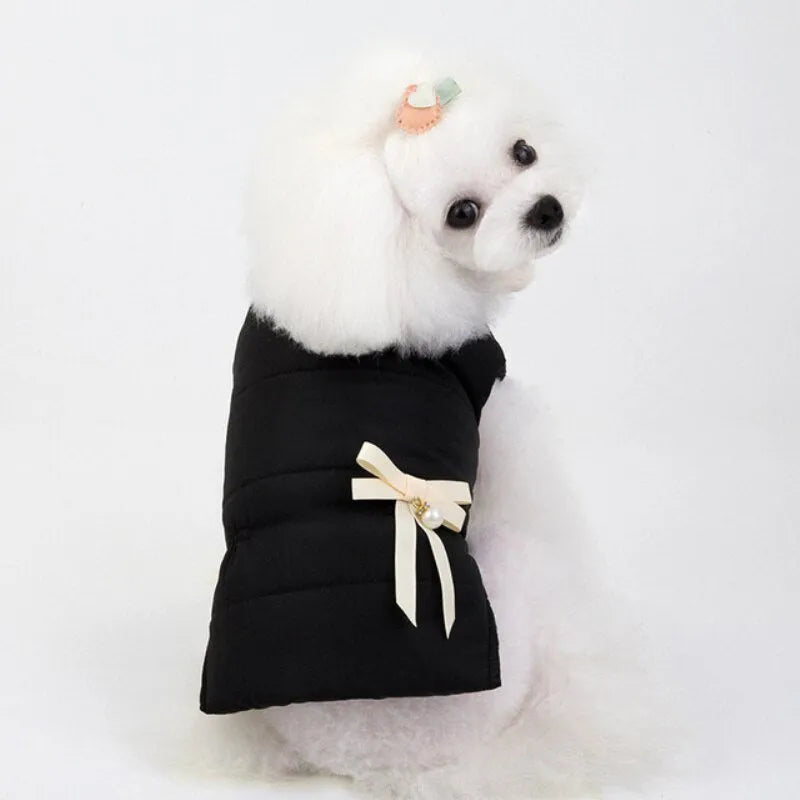 A white poodle wearing a black fleece dog jacket with a cream-colored bow, sitting and looking over its shoulder.