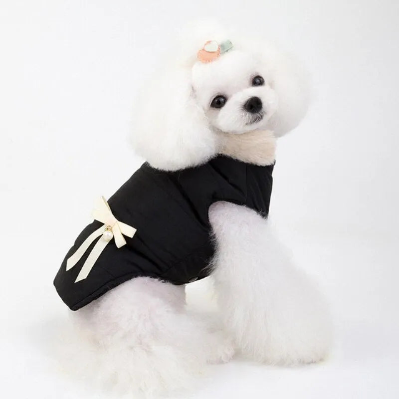 A white poodle wearing a black fleece dog jacket with a cream-colored bow, sitting and looking slightly to the side.