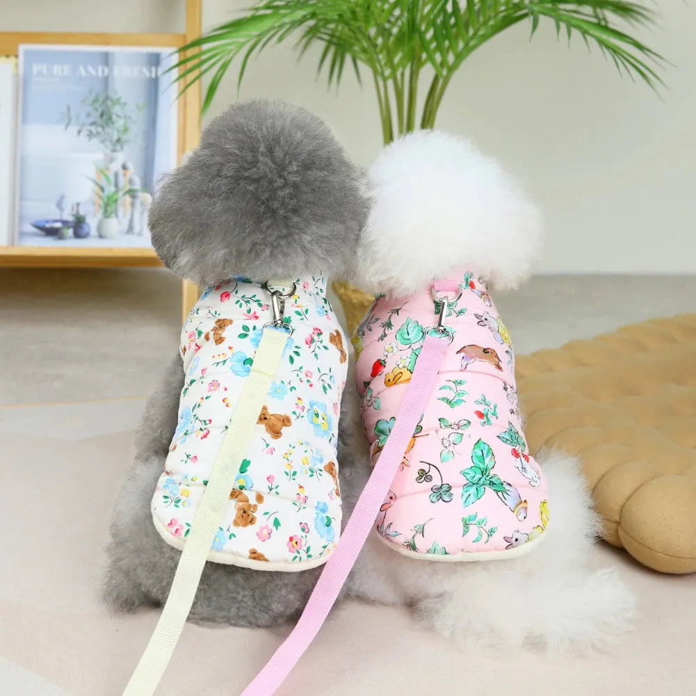 Two poodles, one wearing a white dog coat with floral and teddy bear print and the other wearing a pink dog coat with floral print, sitting side by side.