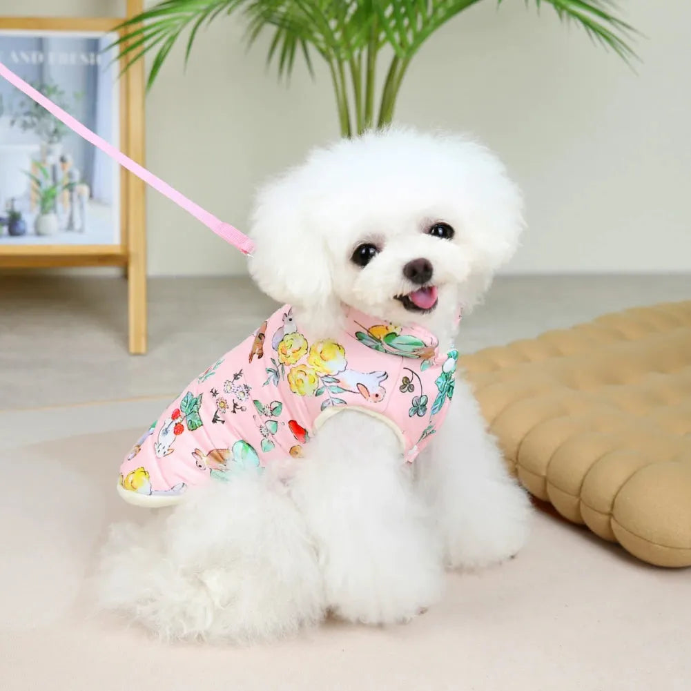 A white poodle wearing a pink dog coat with floral print, sitting and facing the camera.