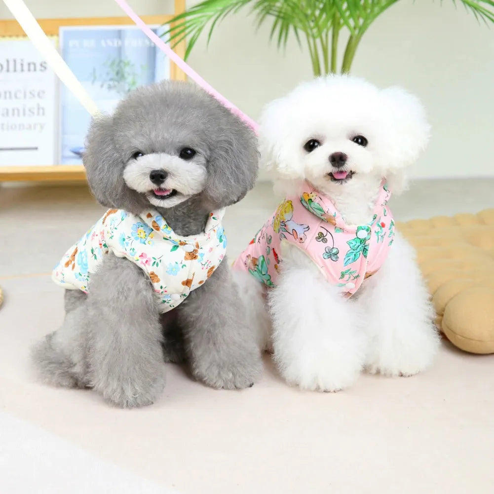 Two poodles, one grey wearing a white dog coat with floral and teddy bear print, and the other white wearing a pink dog coat with floral print, sitting together and smiling.