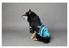 Dog wearing American Apparel Dog Hoodie in black and blue with a Statue of Liberty design, back and side view