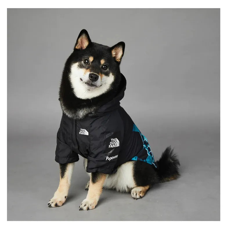 Dog wearing American Apparel Dog Hoodie in black and blue with a Statue of Liberty design, side view close-up