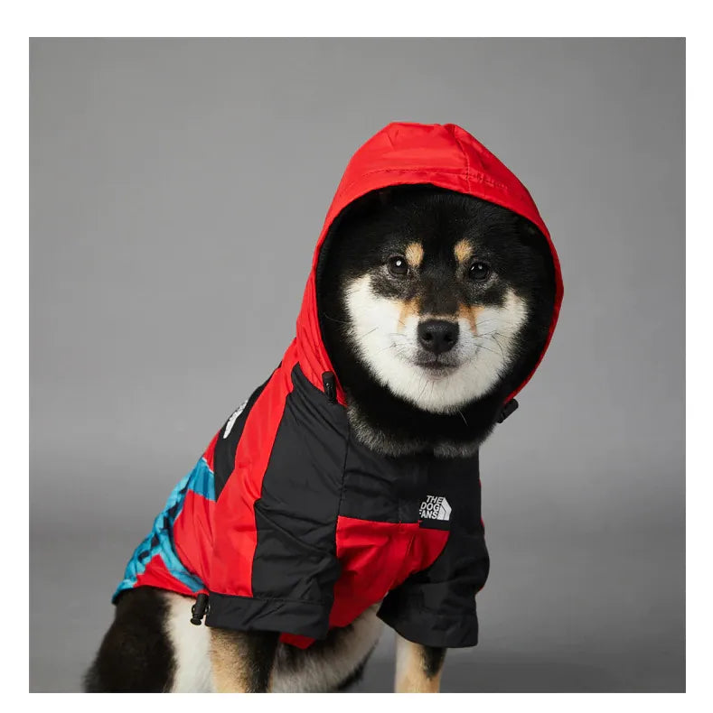 Dog wearing American Apparel Dog Hoodie in red with a Statue of Liberty design, side view