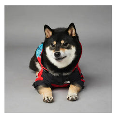 Dog lying down wearing American Apparel Dog Hoodie in red and black with a Statue of Liberty design, front view