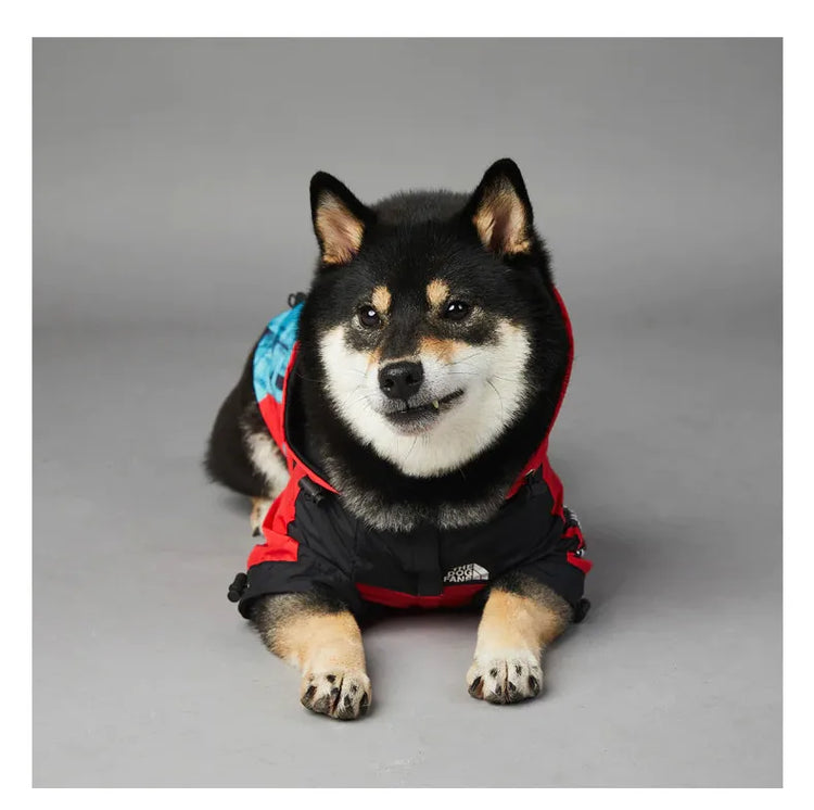 Dog lying down wearing American Apparel Dog Hoodie in red and black with a Statue of Liberty design, front view