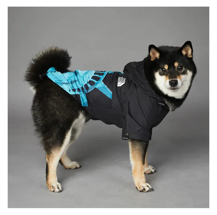 Dog wearing American Apparel Dog Hoodie in black with a Statue of Liberty design, side view