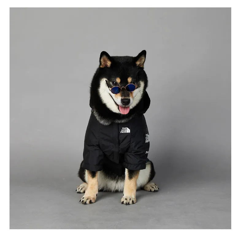 Dog wearing American Apparel Dog Hoodie in black with sunglasses, sitting